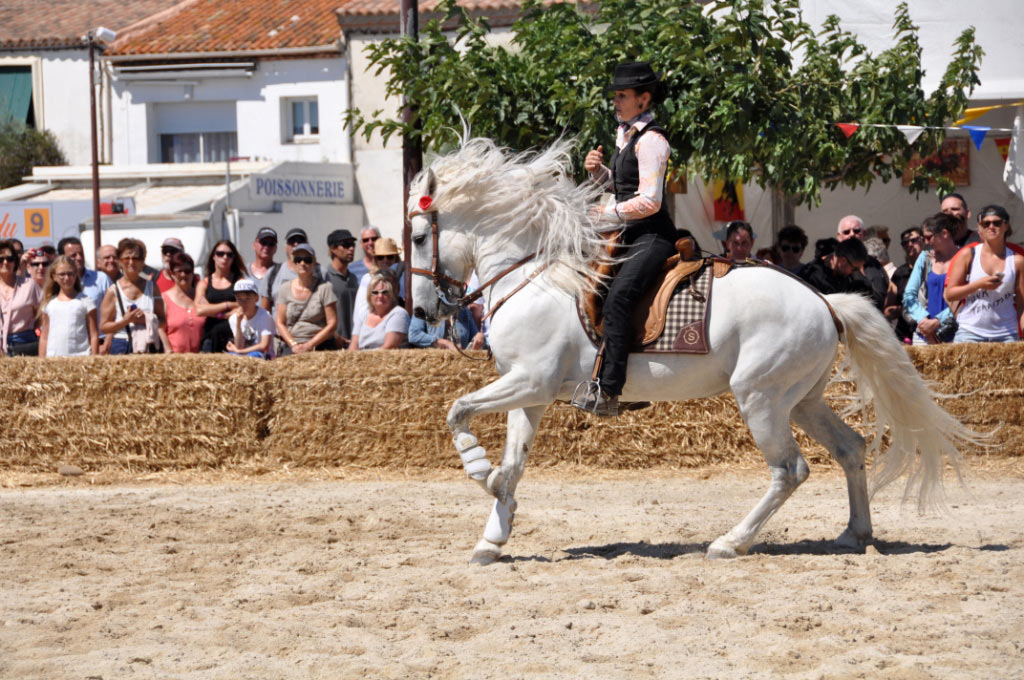 France, Provence, Camargue, Saintes Maries de la Mer